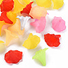 Transparent Acrylic Beads BSF796M-1