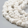 Natural Spiral Shell Beads Strands BSHE-I011-11C-3
