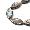 Natural Paua Shell Beads Strands SHEL-F006-05-3