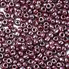 6/0 Glass Seed Beads SEED-A012-4mm-126-3