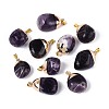 Natural Amethyst Pendants G-N360-05G-06-1