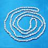 Natural Trumpet Shell Beads Strands X-S02KI011-2