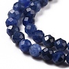 Natural Sodalite Beads Strands G-C009-A07-4