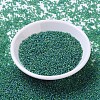 MIYUKI Round Rocailles Beads SEED-G007-RR0146FR-2