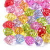 Transparent Acrylic Pendants TACR-T005-12-1