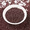 MIYUKI Round Rocailles Beads SEED-X0055-RR0309-2