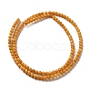 Natural Freshwater Shell Beads Strands SHEL-H003-03E-2