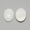 Freshwater Shell Cabochons X-SSHEL-R042-29-2