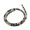 Natural Moss Agate Round Bead Strands X-G-P072-01-4mm-2