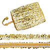 Polyester with Paillette Lace Trim Ribbon OCOR-WH0101-90E-1