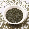 MIYUKI Delica Beads SEED-X0054-DB1739-2