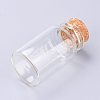 Glass Bottles AJEW-H102-06B-2