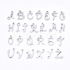 Non-Tarnish 201 Stainless Steel Charms STAS-T044-217P-1