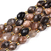 Natural Black Sunstone Beads Strands G-N342-35-8x6-08-2