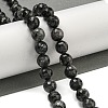 Natural Larvikite Beads Strands G-E571-A09-03-2