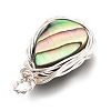 Natural Abalone Shell/Paua Shell Pendants PALLOY-JF00477-02-4