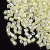 8/0 Two Cut Glass Seed Beads SEED-S033-10A-06-2