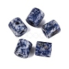 Natural Blue Spot Jasper European Beads G-P520-05J-1