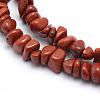 Natural Red Jasper Beads Strands G-P332-44-2