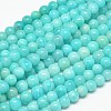 Natural Gemstone Amazonite Round Beads Strands G-O017-8mm-08C-2