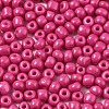 6/0 Glass Seed Beads SEED-S058-A-F421-3