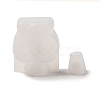 DIY Wishing Bottle Silicone Molds SIMO-C014-01D-2