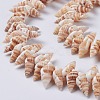 Natural Spiral Shell Beads Strands X-BSHE-I016-08-3