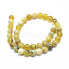 Natural Yellow Opal Round Bead Strands G-M296-02-10mm-4