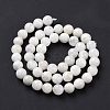 Natural Rainbow Moonstone Beads Strands G-I249-B04-02-6