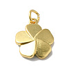 Rack Plating Brass Enamel Charms KK-O142-56G-3