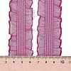 20 Yards Polyester Pleated Elastic Lace Trim SRIB-M015-01B-3