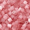 Glass Seed Beads SEED-H002-D-A810-3