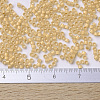 MIYUKI Delica Beads X-SEED-J020-DB0230-4