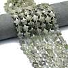 Natural Labradorite Beads Strands G-P573-C07-01-1