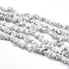 Natural Howlite Beads Strands X-G-O049-B-40-1