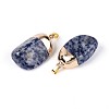 Natural Blue Spot Jasper Pendants G-N360-05G-05-01-2