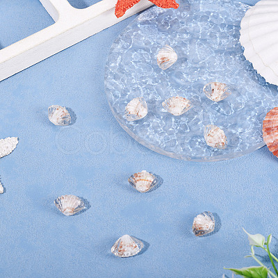 10Pcs Handmade Lampwork Beads LAMP-TADJ0001-07B-1