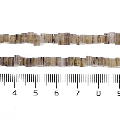 Handmade Lampwork Beads Strands LAMP-Q037-02A-05-1