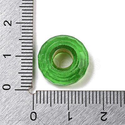 Glass European Beads GLAA-XCP0001-43I-1
