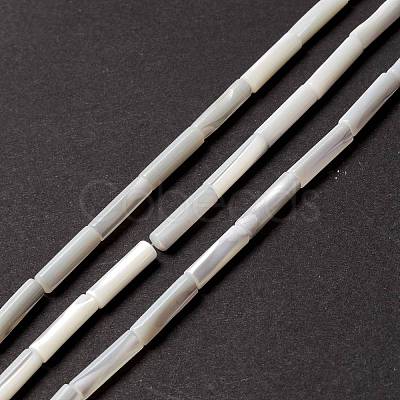 Natural Trochid Shell/Trochus Shell Beads SSHEL-O001-26B-1