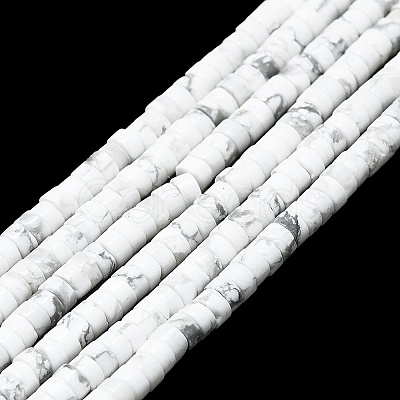 Natural Howlite Beads Strands G-K245-C03-02-1