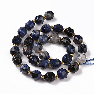 Natural Sodalite Beads Strands with Seed Beads G-G990-E01-1