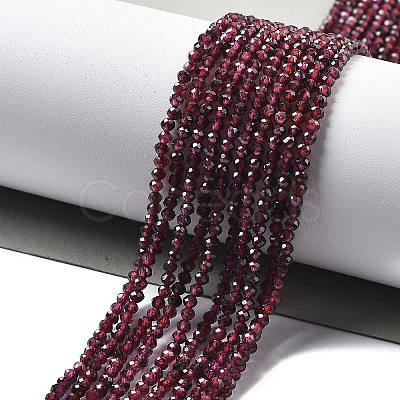 Natural Garnet Beads Strands G-H079-A01-02B-1