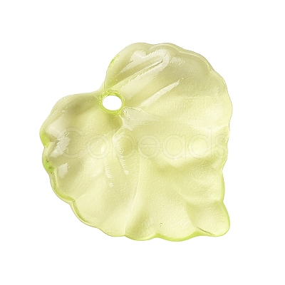 Transparent Acrylic Pendants DBLA410-9-1