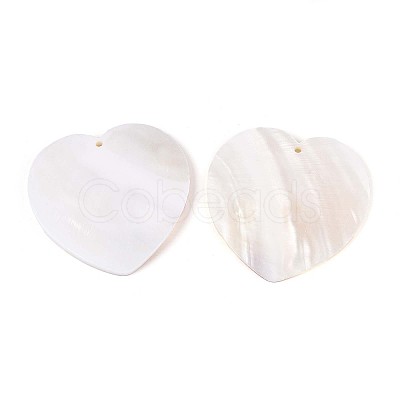 Natural Freshwater Shell Big Pendants SHEL-T020-51-1