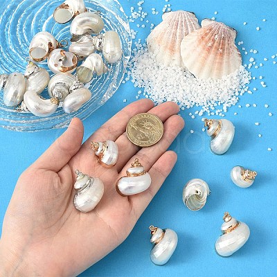 Electroplated Spiral Shell Pendants BSHE-YW0001-07G-1