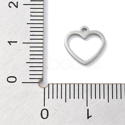 Anti-Tarnish 304 Stainless Steel Charms STAS-R003-01P-02-1