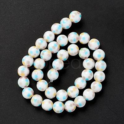 Handmade Lampwork Beads Strands LAMP-D015-11C-1