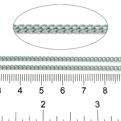 Spray Painted 304 Stainless Steel Curb Chains STAS-B067-05A-01-1