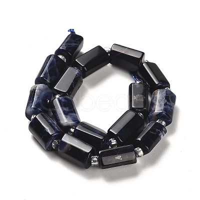 Natural Sodalite Beads Strands G-N327-06-28-1